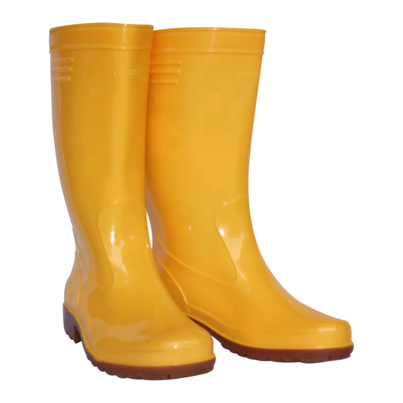 Safety gumboots